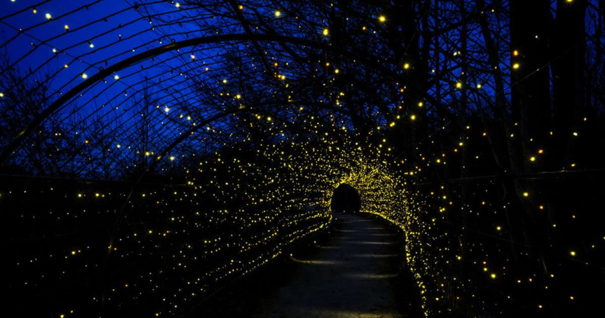 Tunnel Vision | Longwood Gardens