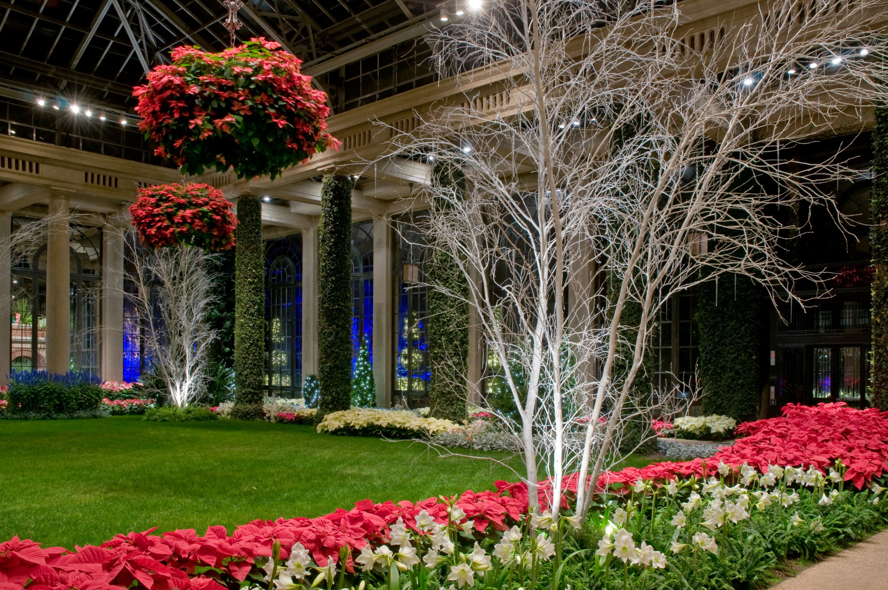 Christmas in July | Longwood Gardens3000 x 1993