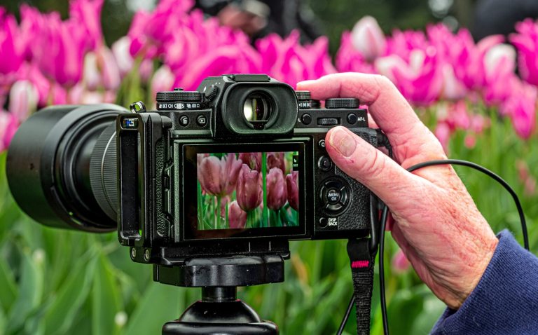 A camera photographing a tulip display at Longwood Gardens.